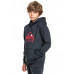 Детское Худи QUIKSILVER Big Logo Navy Blazer Heather Детское Худи QUIKSILVER Big Logo Navy Blazer Heather