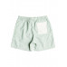 Шорты QUIKSILVER Run Ashore Frosty Green Шорты QUIKSILVER Run Ashore Frosty Green