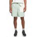 Шорты QUIKSILVER Run Ashore Frosty Green Шорты QUIKSILVER Run Ashore Frosty Green