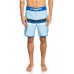 Мужские Бордшорты QUIKSILVER Everyday More Core 18"