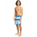 Мужские Бордшорты QUIKSILVER Everyday More Core 18"