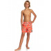 Детские Плавательные Шорты QUIKSILVER Everyday Scenic 14" Peach Pink Детские Плавательные Шорты QUIKSILVER Everyday Scenic 14" Peach Pink