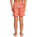 Детские Плавательные Шорты QUIKSILVER Everyday Scenic 14" Peach Pink Детские Плавательные Шорты QUIKSILVER Everyday Scenic 14" Peach Pink
