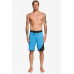 Мужские Бордшорты QUIKSILVER Highline New Wave 20"