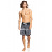 Мужские Бордшорты QUIKSILVER Everyday More Core 18"
