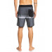 Мужские Бордшорты QUIKSILVER Everyday More Core 18"