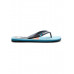 Мужские сланцы QUIKSILVER Molokai