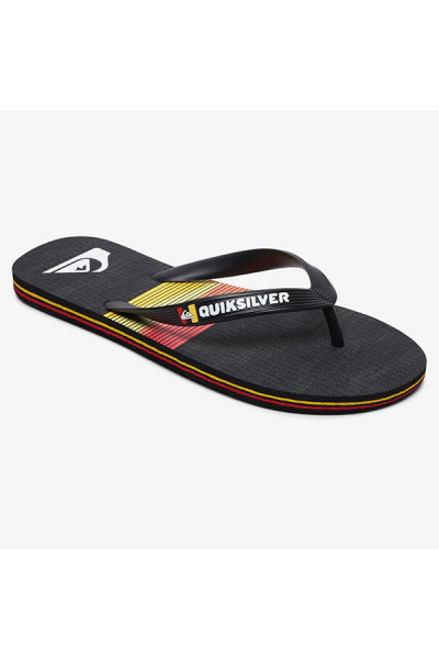 Мужские сланцы QUIKSILVER Molokai Seasons