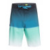 Мужские Бордшорты QUIKSILVER Surfsilk Slab 20"