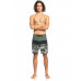 Мужские Бордшорты QUIKSILVER Surfsilk Panel 18" Thyme