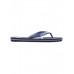 Мужские сланцы QUIKSILVER Molokai