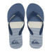 Мужские сланцы QUIKSILVER Molokai
