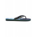 Мужские сланцы QUIKSILVER Molokai