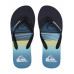 Мужские сланцы QUIKSILVER Molokai