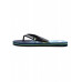 Мужские сланцы QUIKSILVER Molokai