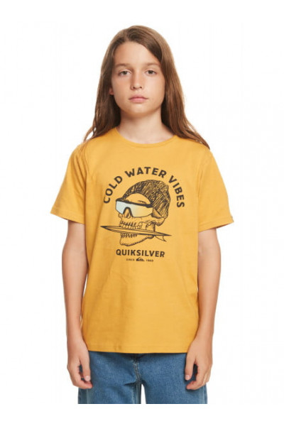 Футболка QUIKSILVER QS Skull Футболка QUIKSILVER QS Skull