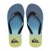 Мужские сланцы QUIKSILVER Molokai