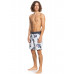 Бордшорты QUIKSILVER Surfsilk Mystic Sessions 18"