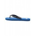 Мужские сланцы QUIKSILVER MOLOKAI CORE