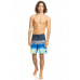 Мужские Бордшорты QUIKSILVER Surfsilk Panel 18" Navy Blazer