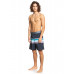 Мужские Бордшорты QUIKSILVER Surfsilk Sun Faded 19" Black