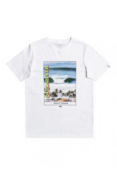 Детская Футболка QUIKSILVER Scenic Drive 8-16