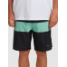 Мужские Бордшорты QUIKSILVER Highlite Arch 19"