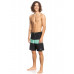 Мужские Бордшорты QUIKSILVER Highlite Arch 19"