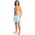 Плавательные Шорты QUIKSILVER Ocean Beach Please 16" Angel Blue