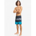 Мужские Бордшорты QUIKSILVER Surfsilk Panel 18"