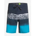 Мужские Бордшорты QUIKSILVER Surfsilk Panel 18"