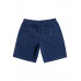 Спортивные Шорты Local Surf Insignia Blue